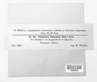 Mycosphaerella podagrariae image
